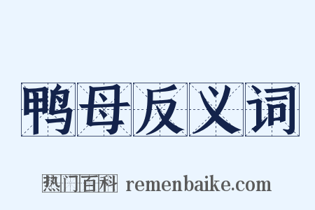 鸭母反义词是什么意思的图片
